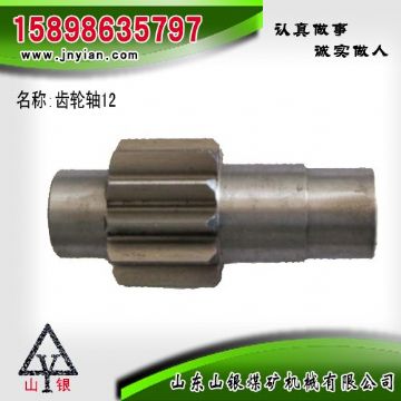 點擊查看詳細(xì)信息<br>標(biāo)題：齒輪軸12 江陰系列配件 閱讀次數(shù)：2240