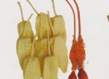 點(diǎn)擊查看詳細(xì)信息<br>標(biāo)題：取氣樣球膽 閱讀次數(shù)：234